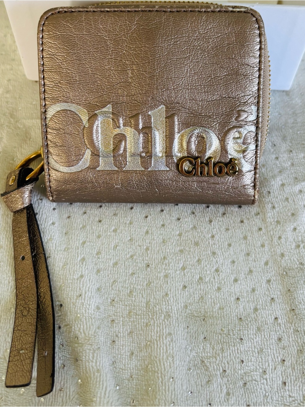 Chloé Square Leather Wristlet in Shimmery Taupe with Champagne/Gold Logo - Picture 3 of 9